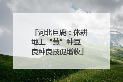 河北巨鹿：休耕地上“慧”种豆 良种良技促增收